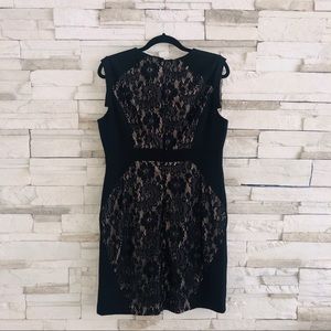 ADRIANNA PAPELL/ BLACK LACE DRESS